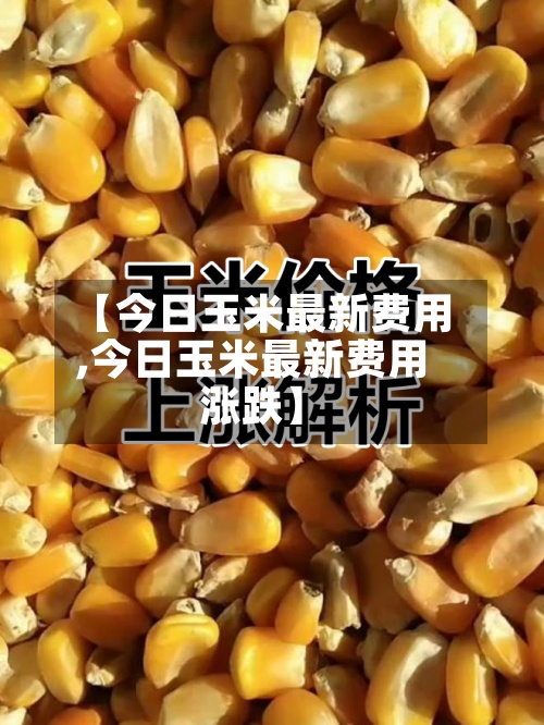 【今日玉米最新费用,今日玉米最新费用涨跌】