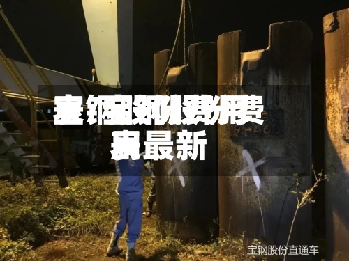 宝钢股份费用
表/宝钢股份费用
表最新-第3张图片