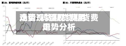 鸡蛋现货期货费用
走势/鸡蛋现货期货费用
走势分析-第2张图片