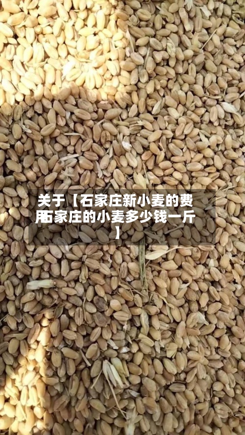 关于【石家庄新小麦的费用
,石家庄的小麦多少钱一斤】-第2张图片