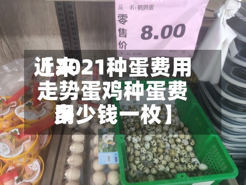 近来
【2021种蛋费用
走势蛋鸡种蛋费用
多少钱一枚】-第2张图片