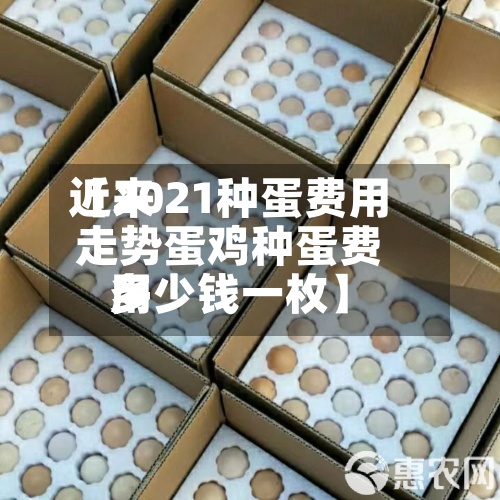 近来
【2021种蛋费用
走势蛋鸡种蛋费用
多少钱一枚】-第3张图片