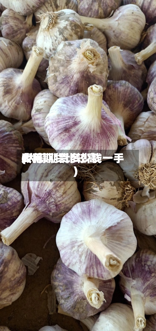 大蒜期货比较高
费用
(大蒜期货多少钱一手)-第2张图片