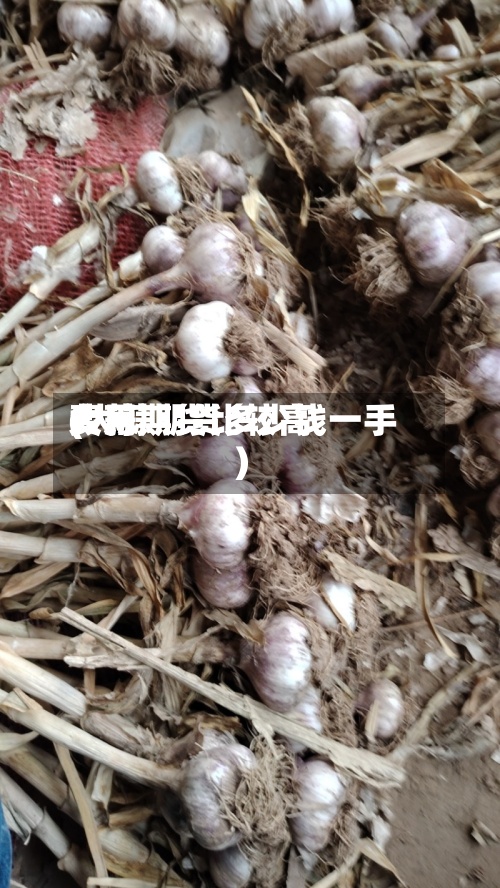 大蒜期货比较高
费用
(大蒜期货多少钱一手)-第3张图片