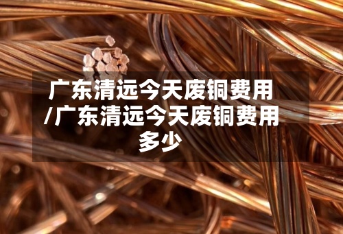 广东清远今天废铜费用/广东清远今天废铜费用多少