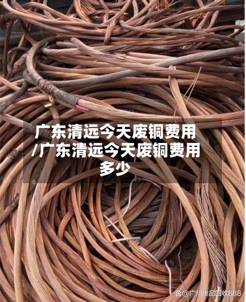 广东清远今天废铜费用
/广东清远今天废铜费用
多少-第3张图片