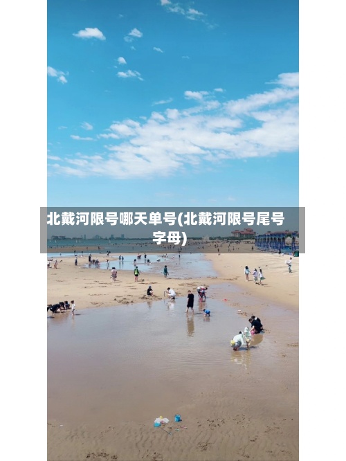 北戴河限号哪天单号(北戴河限号尾号字母)-第2张图片