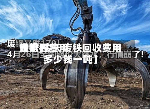 【世界铁矿石费用走势,今天废铁回收费用多少钱一吨】