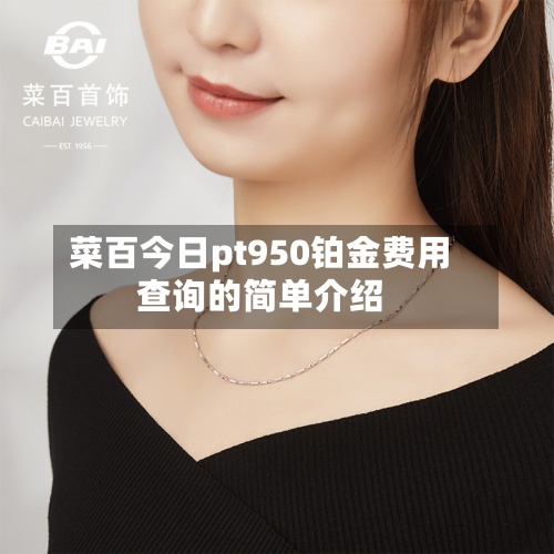 菜百今日pt950铂金费用查询的简单介绍
