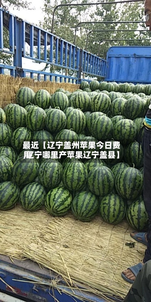 最近【辽宁盖州苹果今日费用
,辽宁哪里产苹果辽宁盖县】-第3张图片
