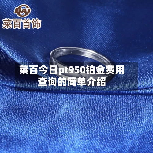 菜百今日pt950铂金费用
查询的简单介绍-第2张图片