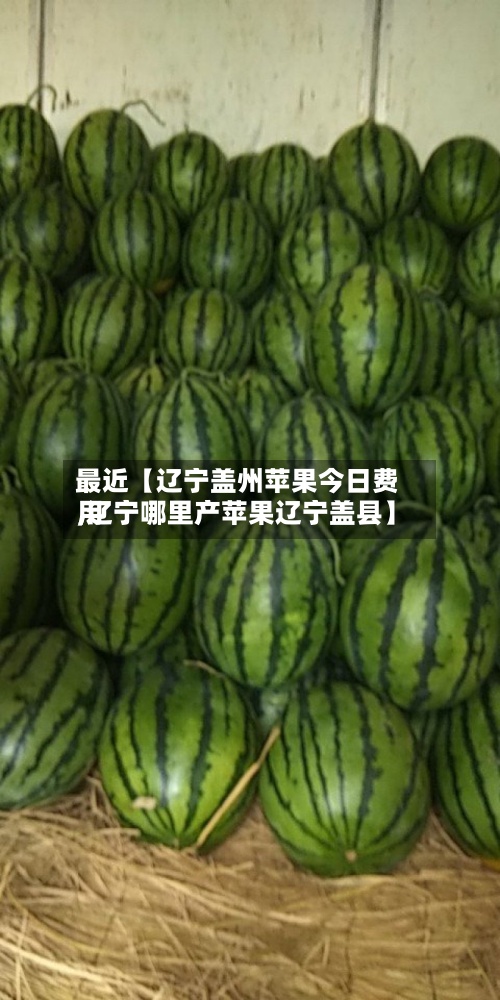 最近【辽宁盖州苹果今日费用,辽宁哪里产苹果辽宁盖县】