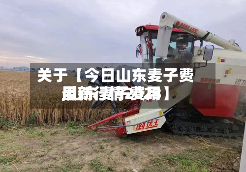 关于【今日山东麦子费用
,山东麦子费用
最新行情2023】-第3张图片