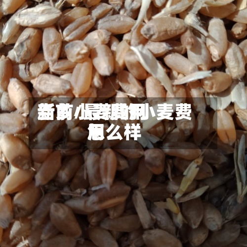当前小麦费用新乡/最新的小麦费用怎么样-第2张图片