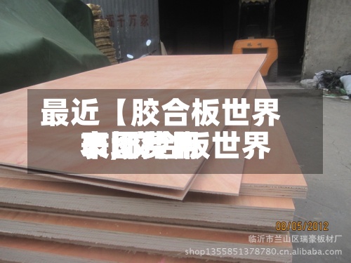 最近【胶合板世界市场费用表,胶合板世界市场费用表图片】-第3张图片