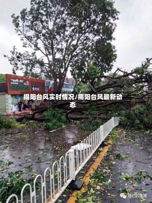 揭阳台风实时情况/揭阳台风最新动态