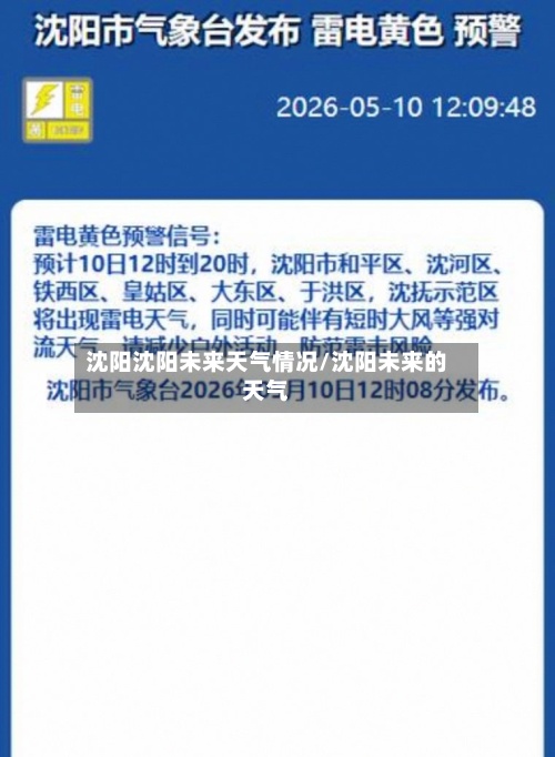 沈阳沈阳未来天气情况/沈阳未来的天气