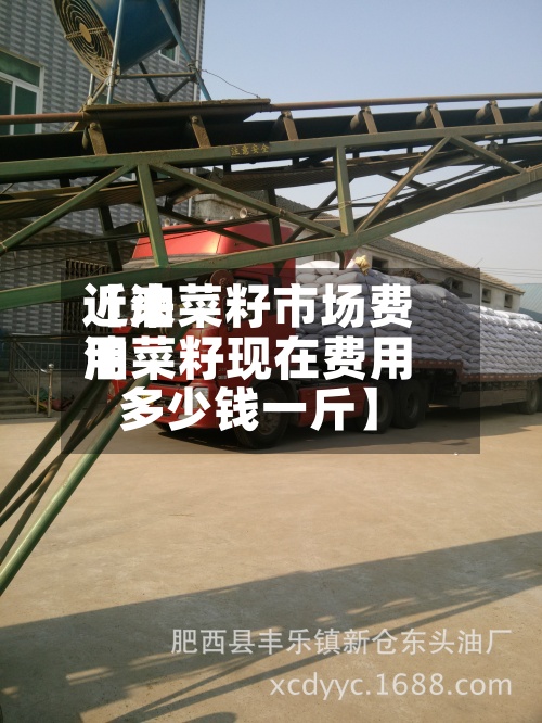 近来
【油菜籽市场费用
油菜籽现在费用
多少钱一斤】-第3张图片