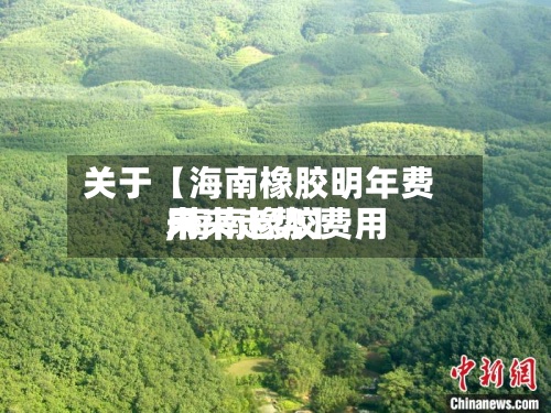 关于【海南橡胶明年费用
,海南橡胶费用
未来走势】-第2张图片