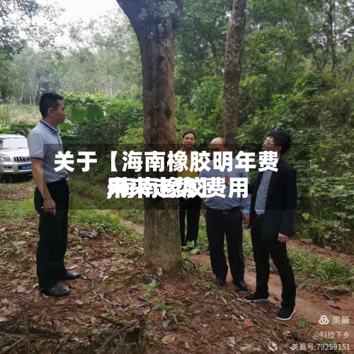 关于【海南橡胶明年费用,海南橡胶费用未来走势】