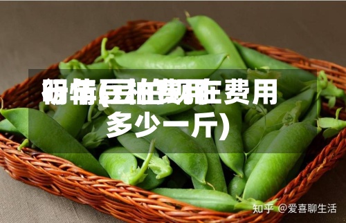 明年豆柏费用行情(豆柏现在费用多少一斤)