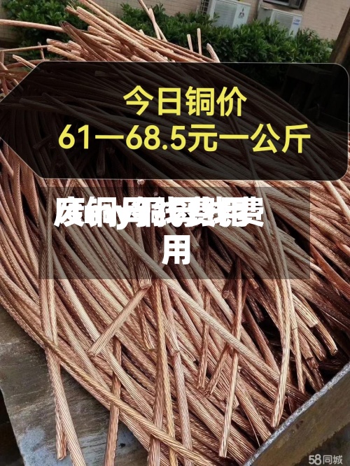 废铜母线费用
/tmy铜母线费用
-第3张图片