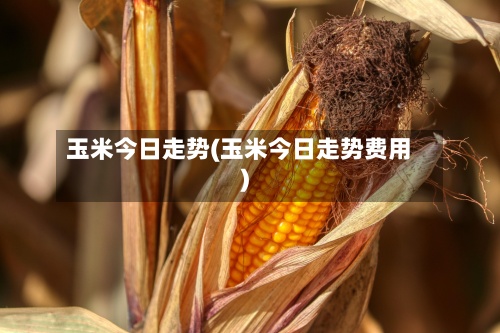 玉米今日走势(玉米今日走势费用)