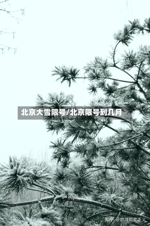 北京大雪限号/北京限号到几月-第2张图片