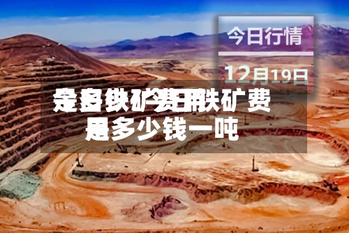今日铁矿费用是多少/今日铁矿费用是多少钱一吨