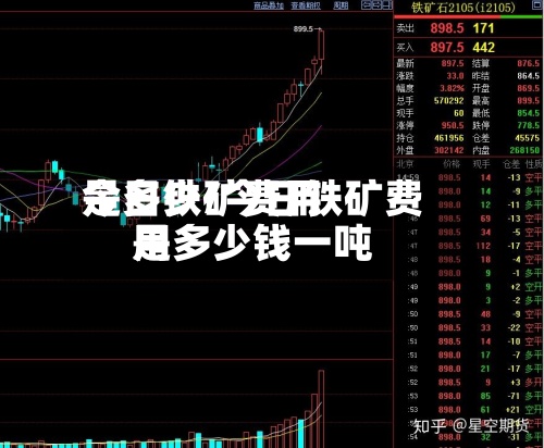 今日铁矿费用
是多少/今日铁矿费用
是多少钱一吨-第3张图片