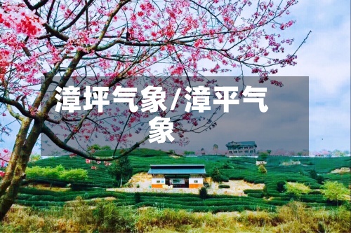 漳坪气象/漳平气象