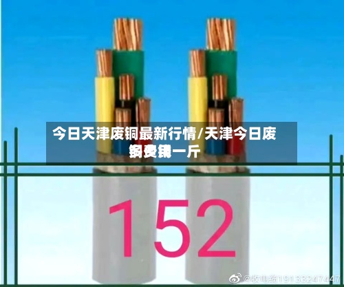 今日天津废铜最新行情/天津今日废铜费用多少钱一斤