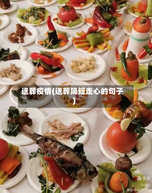 送葬疫情(送葬简短走心的句子)-第3张图片