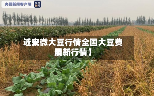 近来【安微大豆行情全国大豆费用最新行情】