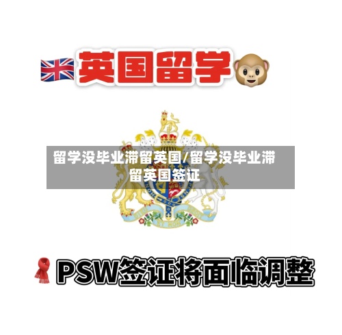 留学没毕业滞留英国/留学没毕业滞留英国签证-第3张图片