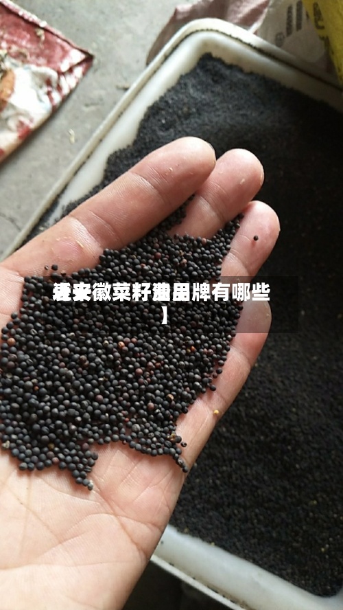 近来
【安徽菜籽费用
表安徽菜籽油品牌有哪些】-第2张图片