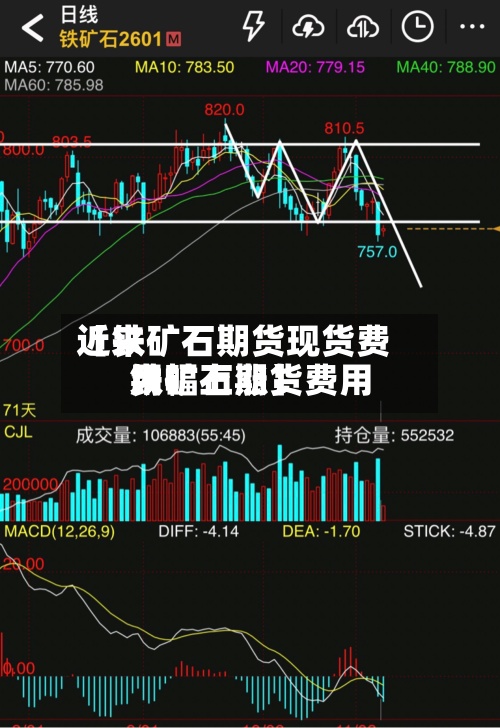 近来【铁矿石期货现货费用铁矿石期货费用大幅上涨】