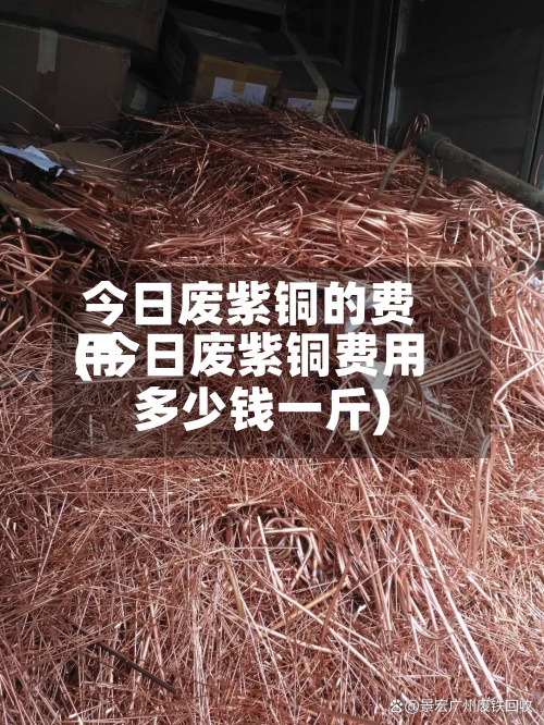 今日废紫铜的费用(今日废紫铜费用多少钱一斤)