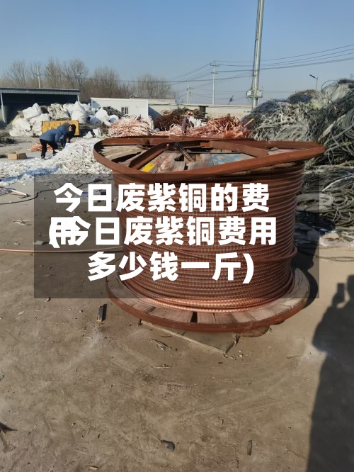 今日废紫铜的费用
(今日废紫铜费用
多少钱一斤)-第3张图片