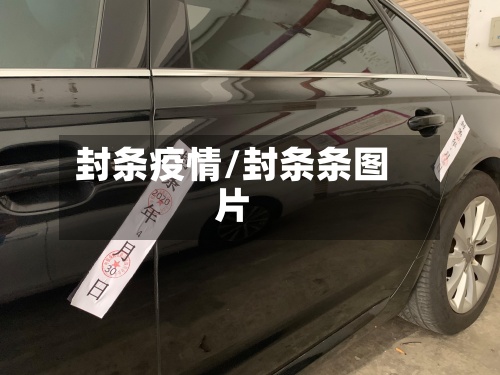 封条疫情/封条条图片-第2张图片