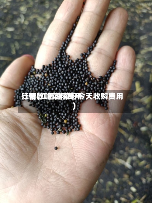 江西收购菜籽费用行情(江西油菜籽今天收购费用)