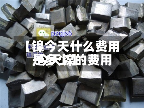 【镍今天什么费用,今天镍的费用是多少】