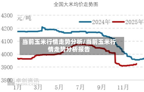 当前玉米行情走势分析/当前玉米行情走势分析报告-第3张图片