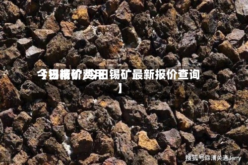 【锡精矿费用今日报价,今日锡矿最新报价查询】-第3张图片