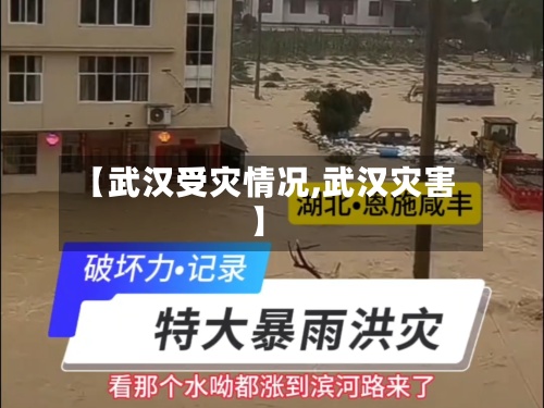 【武汉受灾情况,武汉灾害】-第2张图片