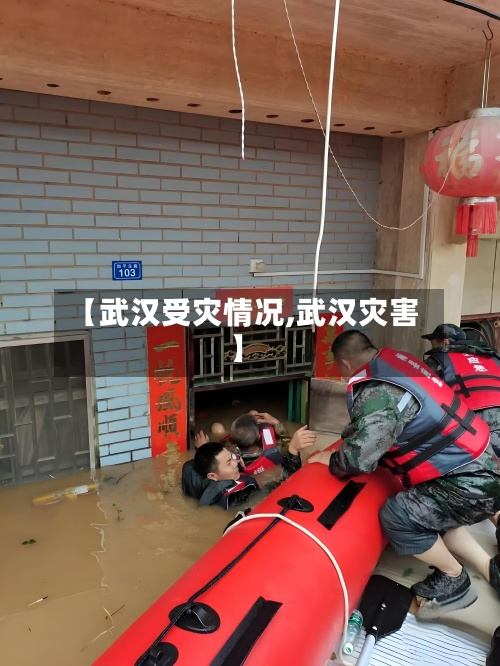 【武汉受灾情况,武汉灾害】-第3张图片