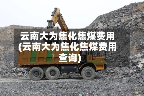 云南大为焦化焦煤费用(云南大为焦化焦煤费用查询)