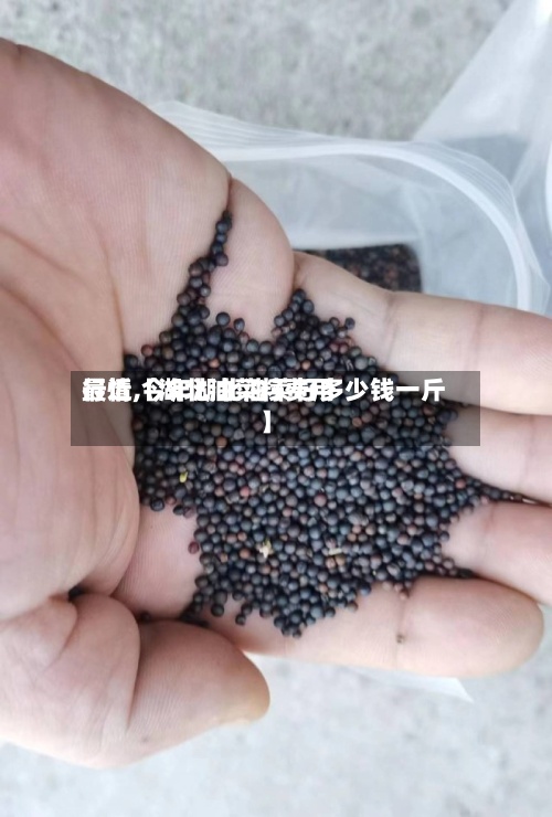 最近【湖北油菜籽费用
行情,今年湖北油菜籽多少钱一斤】-第2张图片