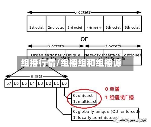 组播行情/组播组和组播源-第3张图片
