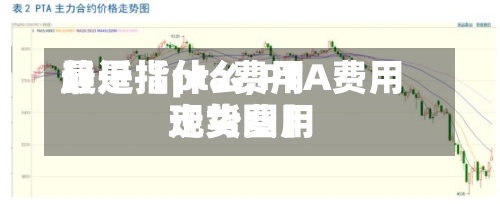 最近【pta费用趋是指什么,PTA费用现货费用走势图】